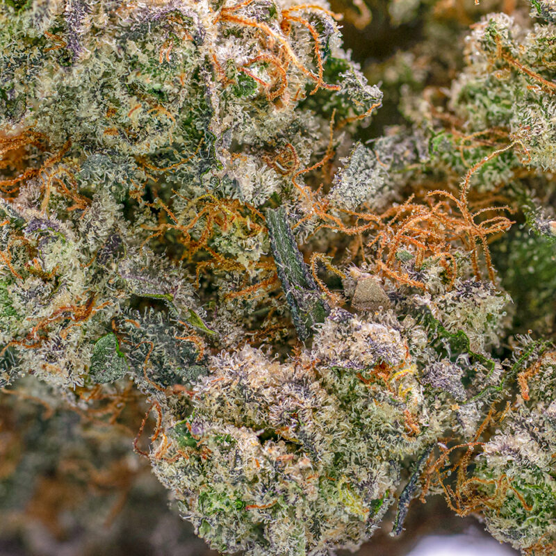 Sour Diesel Strain - Image 2